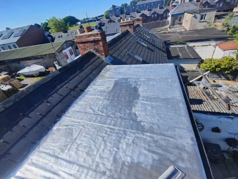 Trusted Roof Cleaning Professionals and Roof Repairs in Ireland