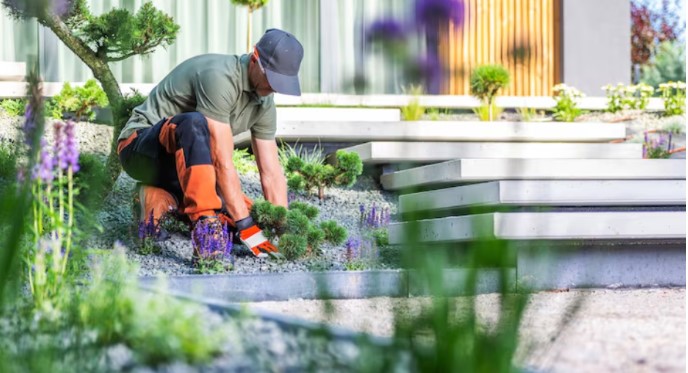 How Residential Landscaping Services Can Transform Your Home’s Outdoor Space
